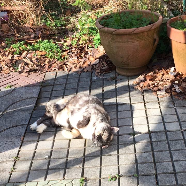 Ec933c91 77b4 4d66 8c14 c8a73f017c47