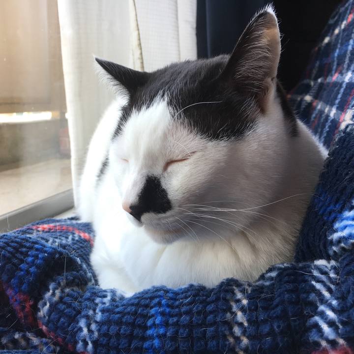 Ec93951b 50c3 42be aad2 a1a58d20e339