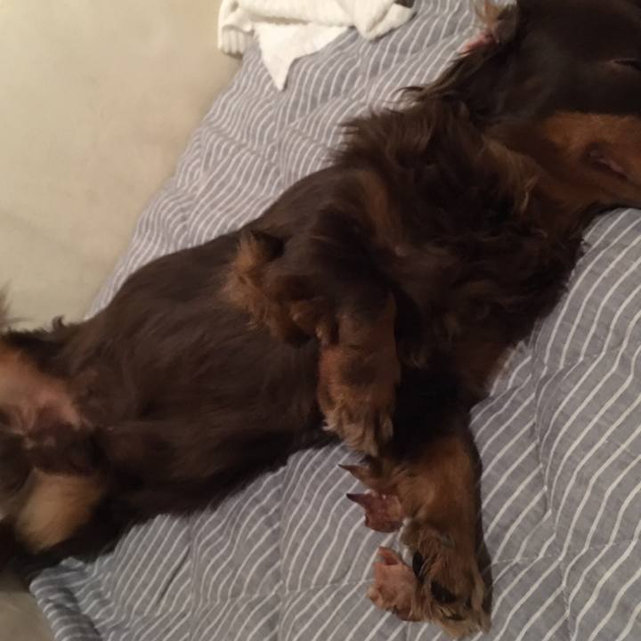 Ec93bce4 5ae0 4cad 9400 2fb532e8515e