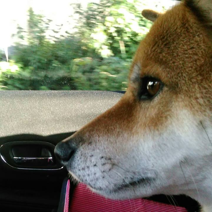 Ec93beca c932 4ce4 a657 adab2f00e8d4