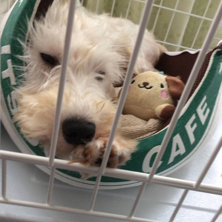 Ec93eac7 2987 43ae b940 2ad2029630a1