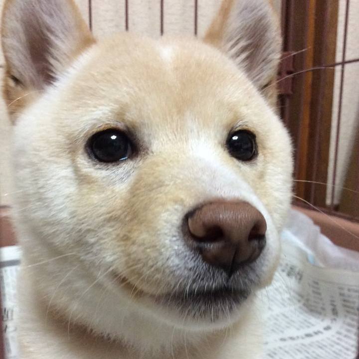 Ec948d72 5368 43ed 82f0 b70a10424746