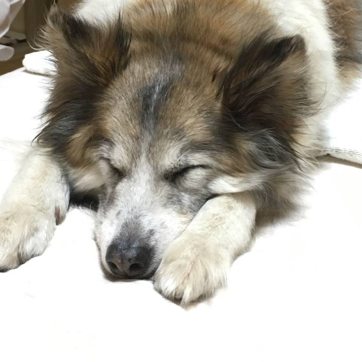 Ec95060a 12ca 48f8 802f 092fb39a2256