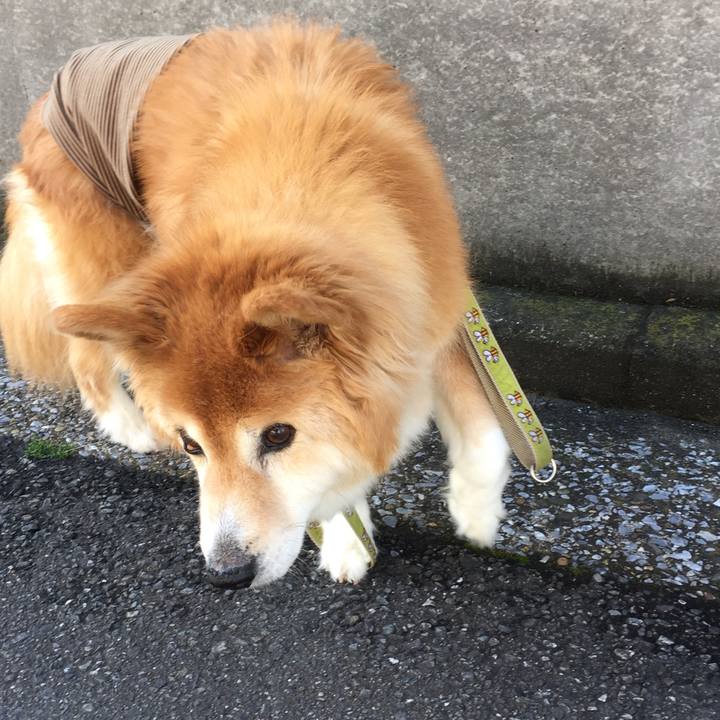 Ec9568b6 652a 4b40 abc8 54ed4544d586