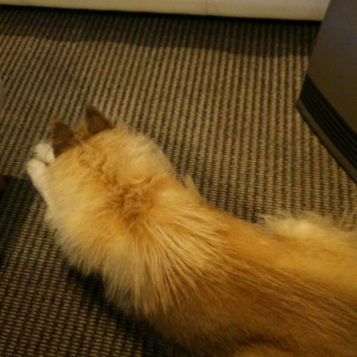 Ec95779e e200 4218 9946 bf8cf81465e7