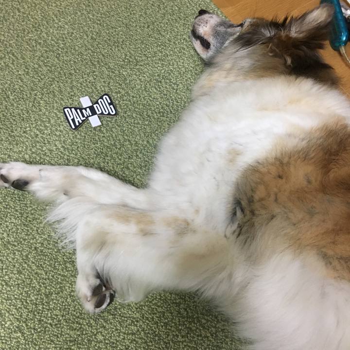 Ec95cd7b 2a83 4233 85c4 a96489fb6b29