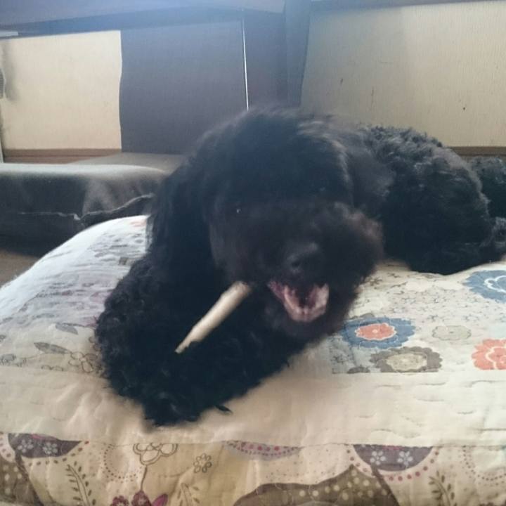 Ec95f792 7de8 4cf4 9952 c9ab37f2dbb7