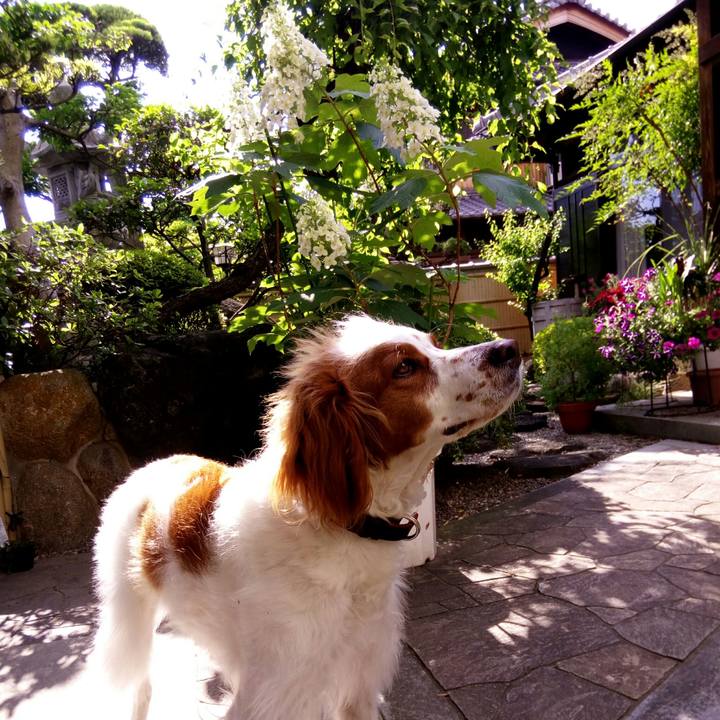 Ec968207 ed83 4d94 ad6c a0ed8ad226b3