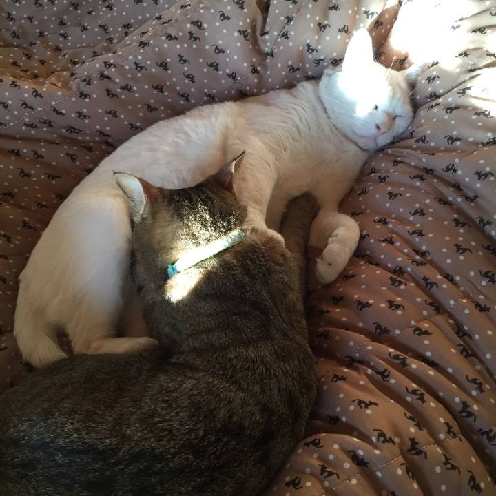 Ec972888 f255 4831 a9f0 7cfbbe2763d5