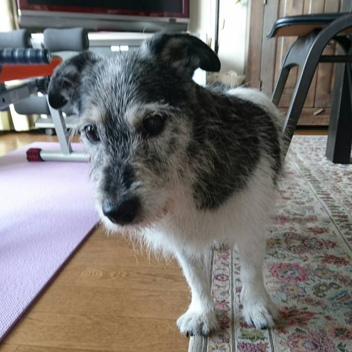 Ec98527c 6590 4147 acbd 841f697c3411