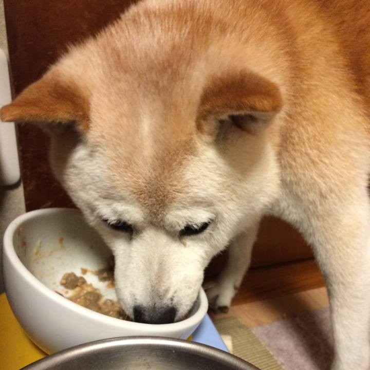 Ec98a746 075d 49e6 8fce e5369f1c54bb