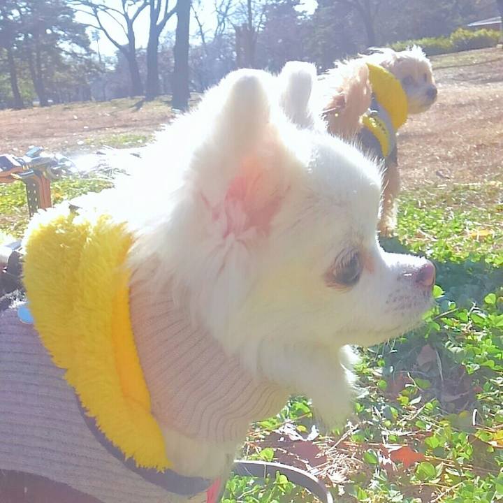 Ec98b3a4 2f03 4767 a900 1bb74323ad71