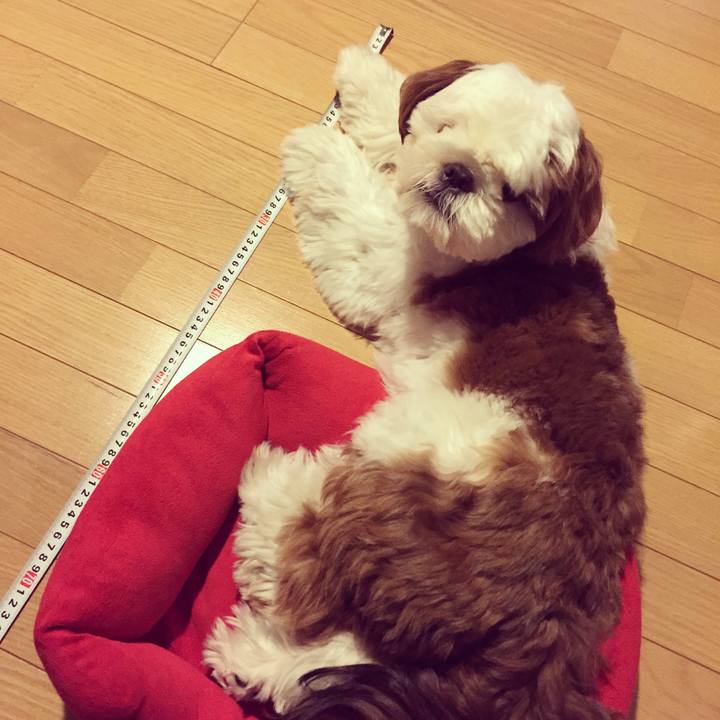 Ec98cf36 11ba 419c 9742 a9bc42245e78