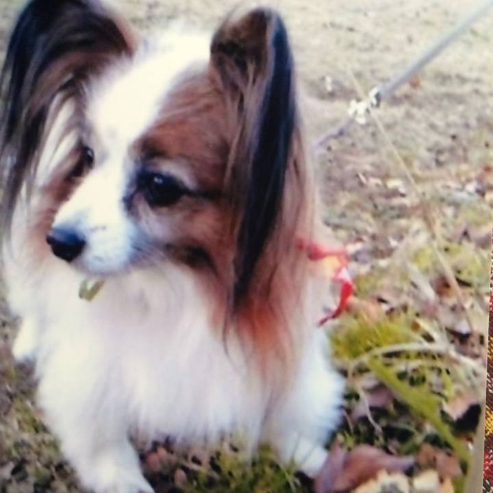 Ec99129c 08b4 469d b7f3 6ba30a8fe132