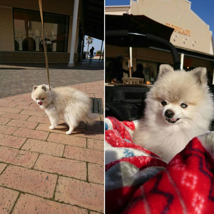 Ec99307b 326b 48c3 afbc 3e7735c319fa