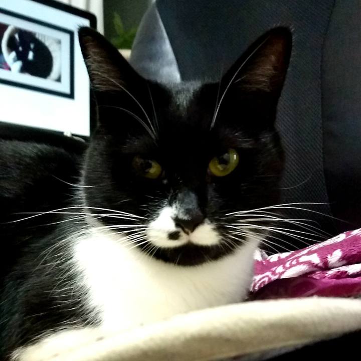 Ec9a0f91 ef25 41e4 b2ce 76b68bbe7941