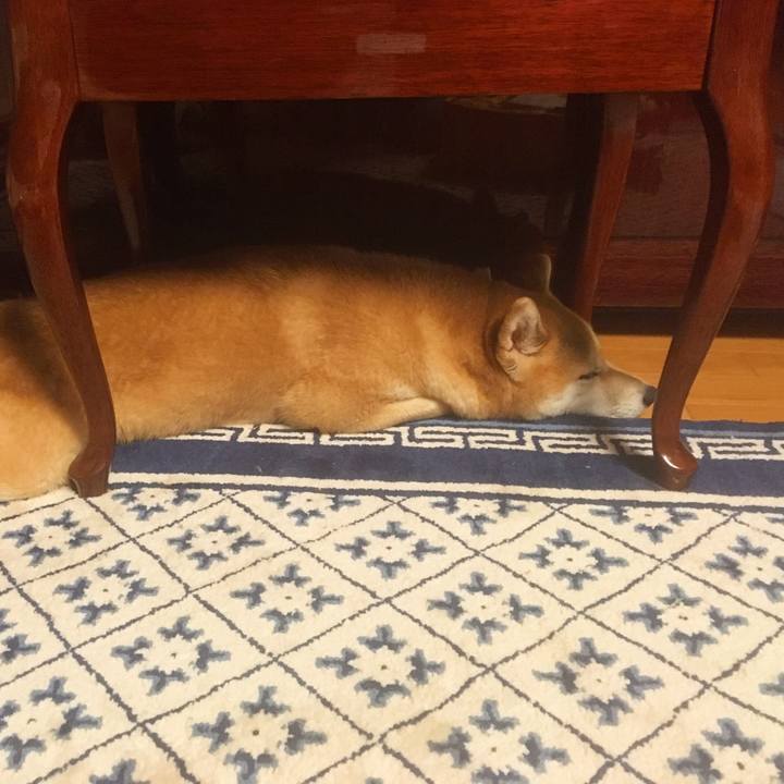 Ec9a529a c8c9 43f8 8c05 d16ef2c7711b