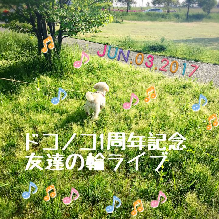 Ec9ac8c6 1047 4eb0 93af 638e33426729