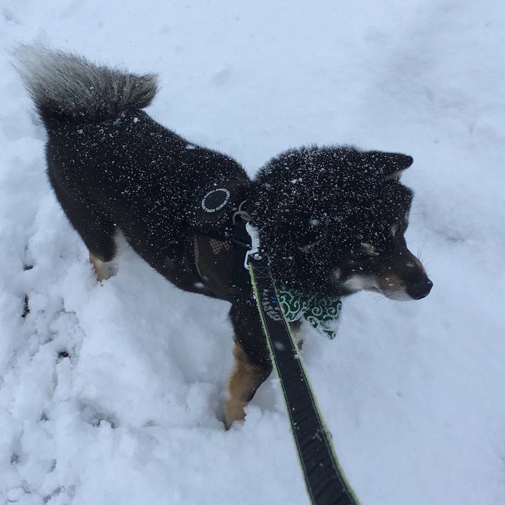 Ec9b10b8 c7bb 462d aef6 7164c8a1a13b