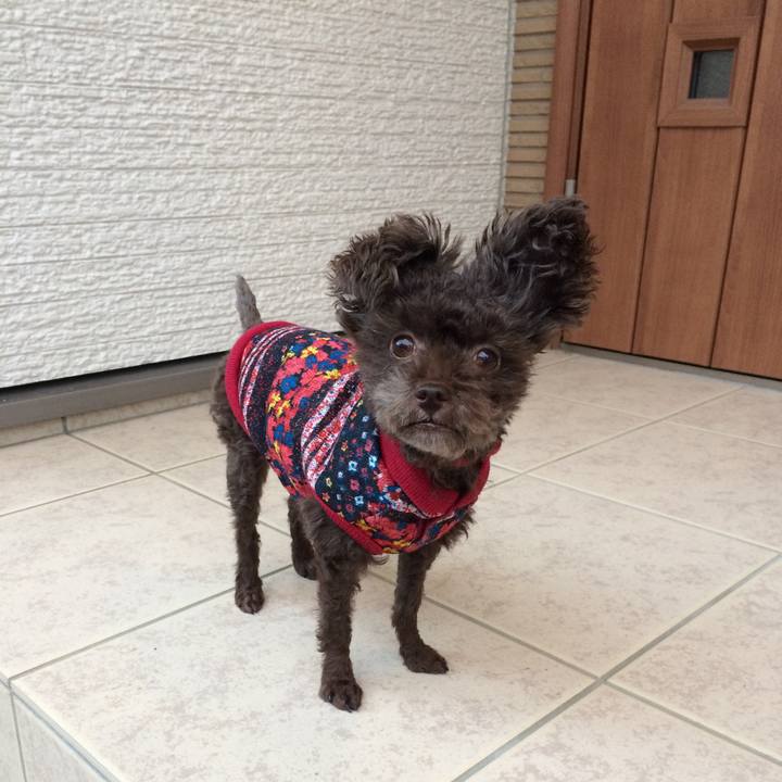 Ec9b4cfc a630 496c a60c 41beb9fb0872