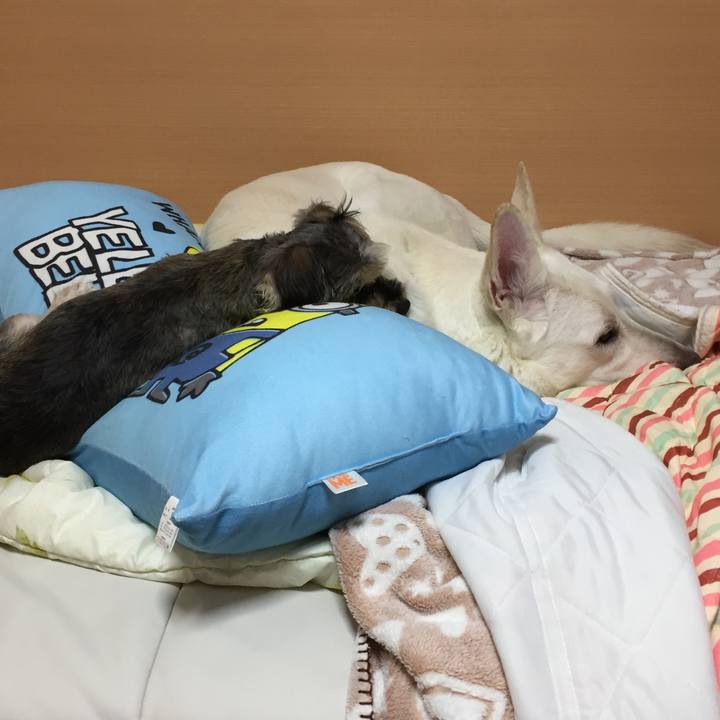 Ec9b4f39 af9c 4dc1 ad07 b1754adc19b5