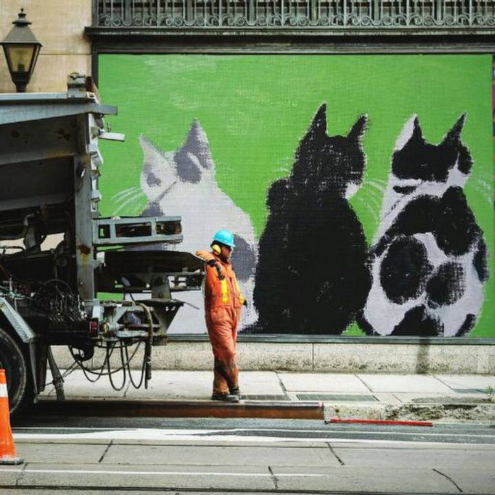 Ec9c77e8 8cd6 4b88 820f 1053c0e69b79