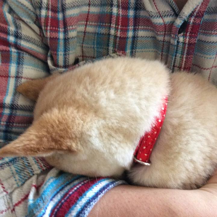 Ec9d3e7b 6be9 4e4f b83f f8829bddb04f