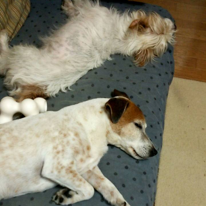 Ec9d5233 e879 417e bd00 dfe73384f951