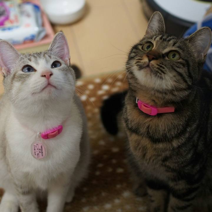 Ec9d6226 fb98 4747 8824 36382968c5c0