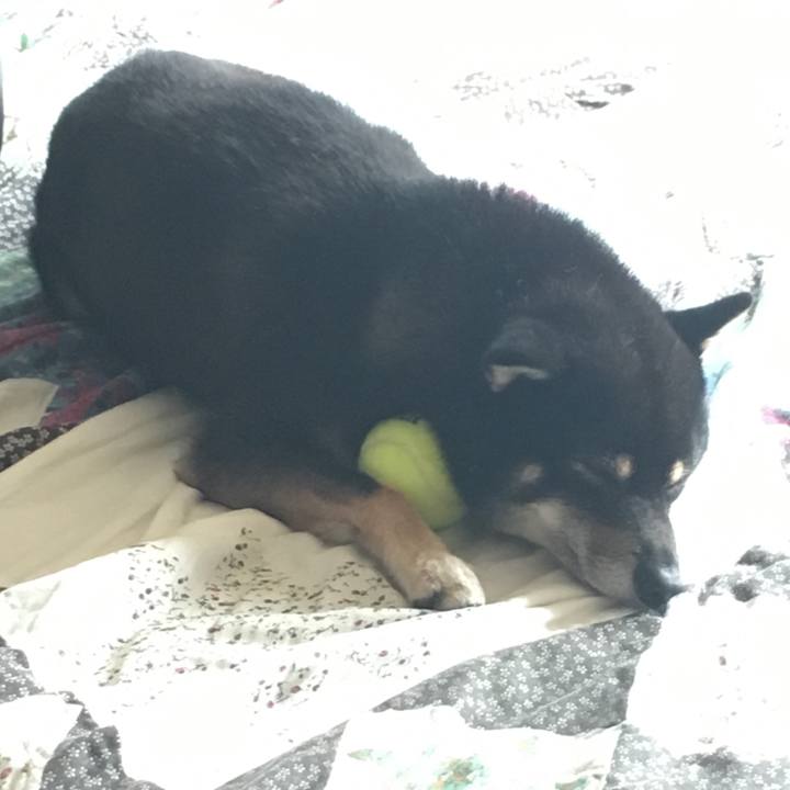 Ec9dc9a1 402e 413f 8025 66fed8c0bacf