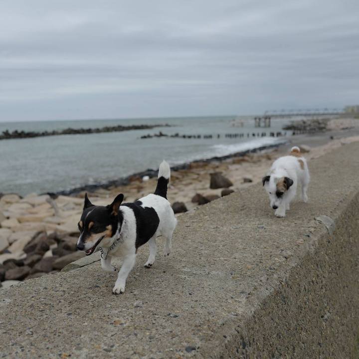 Ec9de0c3 15f9 472e a299 eee5ae478c7e