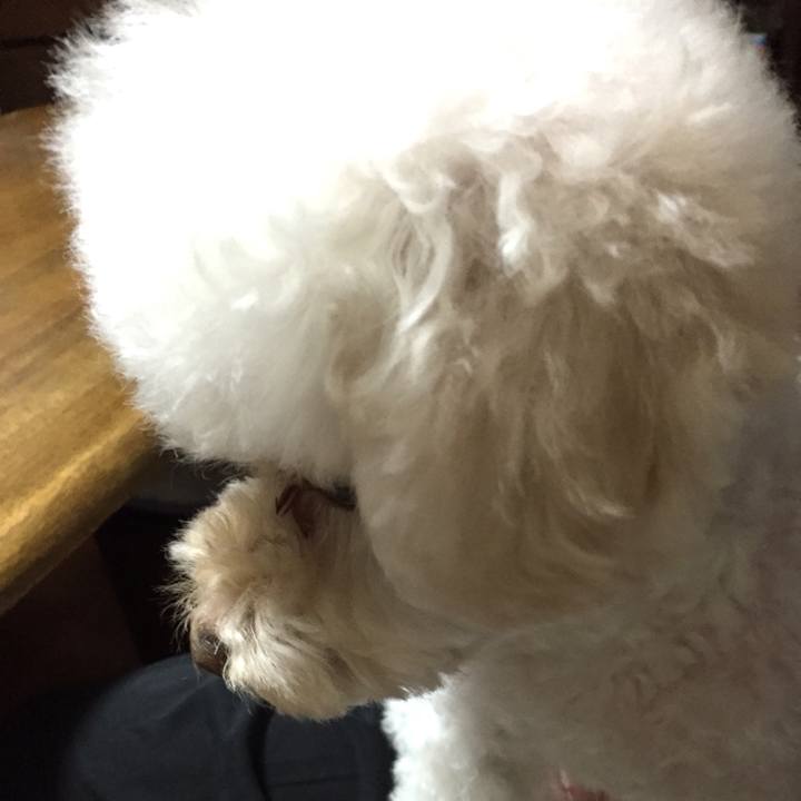 Ec9e9d8c 078c 4613 8020 e3b5db3c9487