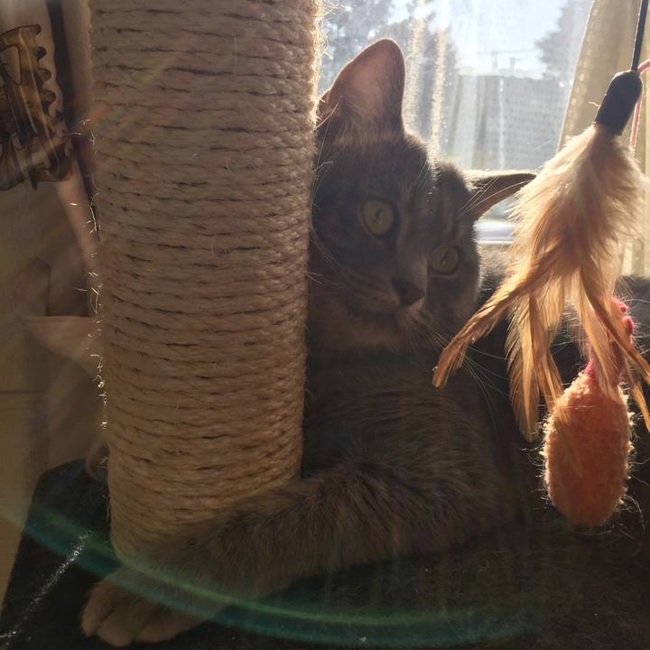 Ec9ea46f a5c7 434f a407 b5e751bc6539