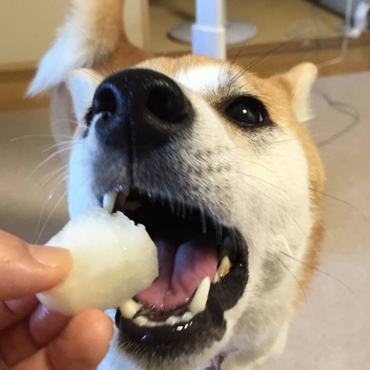 Ec9ec8ec fb0c 4e7e 909c 4abbde70e83d