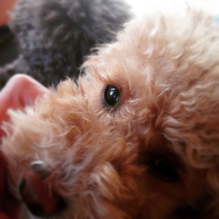 Ec9f8920 cc5b 4a2d 8b6c 2844de5efea4