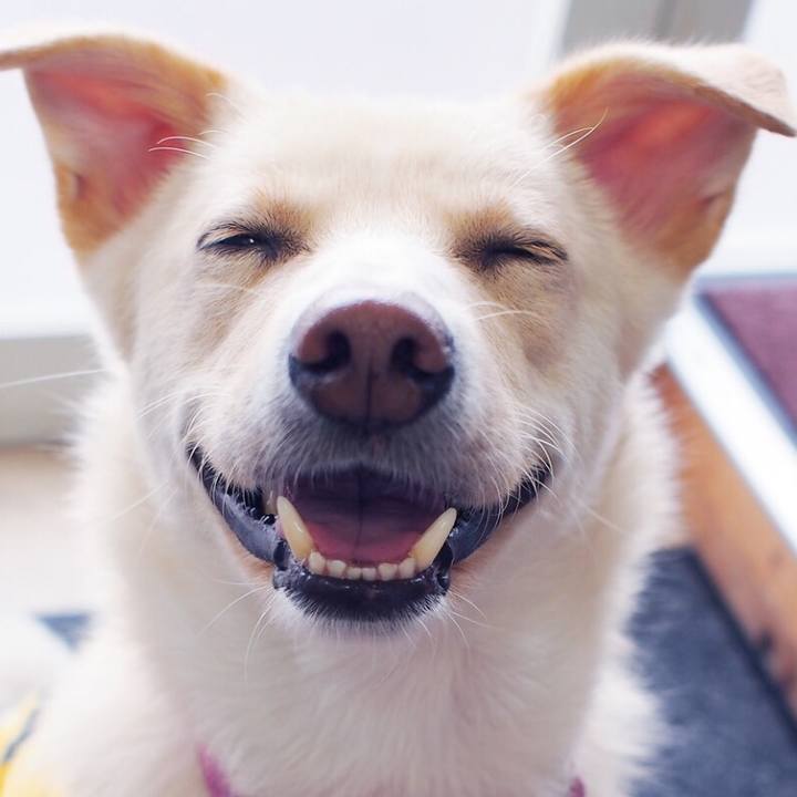 Ec9fad93 7ebf 4cb7 8298 115702bb1f82