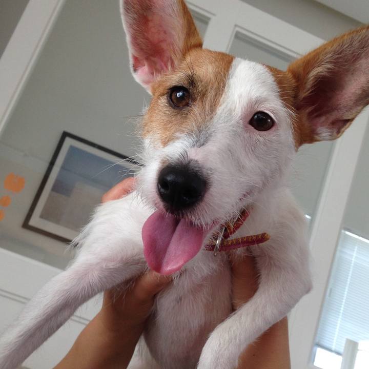 Ec9fae6a a9ba 48a3 b4dd 7a7abff54d95