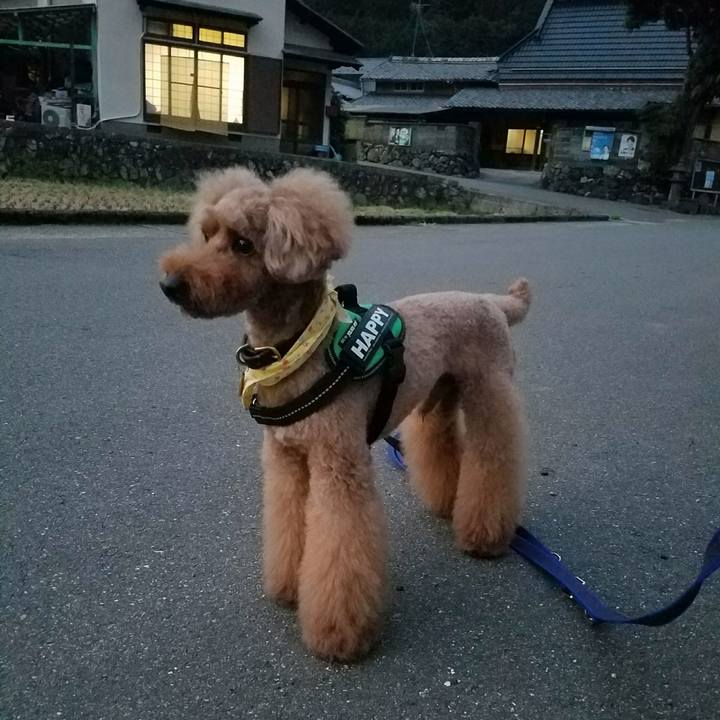 Ec9fdb18 33a6 4e1b 8a8f 58fa9e8a601b