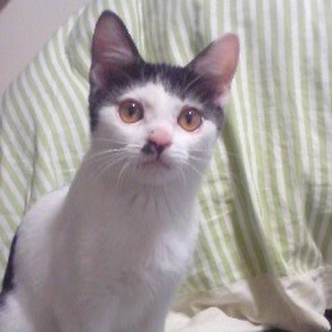 Eca073fd 4ae2 4add 92fc b755a43d40e5