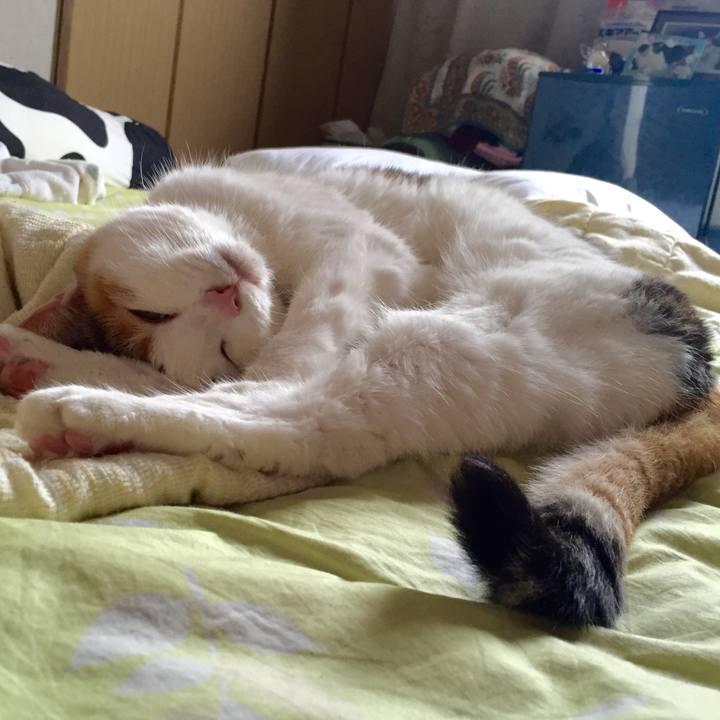 Eca17973 505c 4395 9465 fe0303c624f8