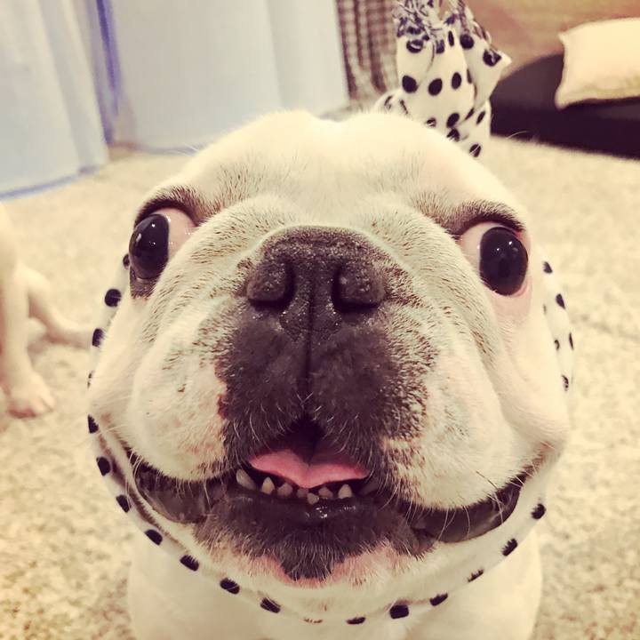 Eca184b8 5290 40bf 8062 0797e701082c