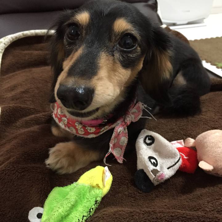 Eca2012a 6982 4876 94b5 db6a48ae89e7