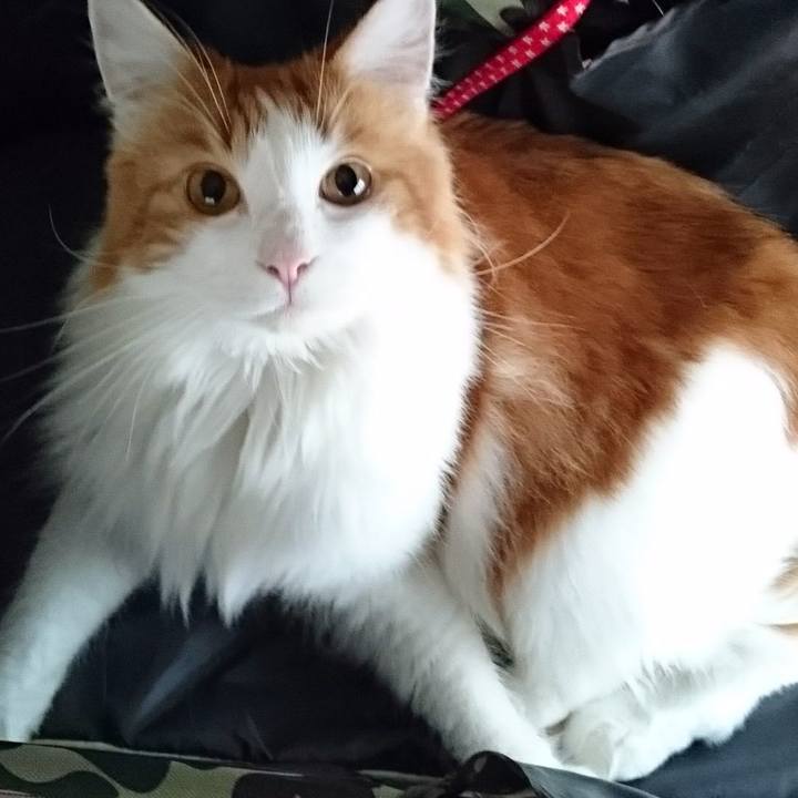 Eca215a1 0337 4962 8387 ffa5a9f4879b