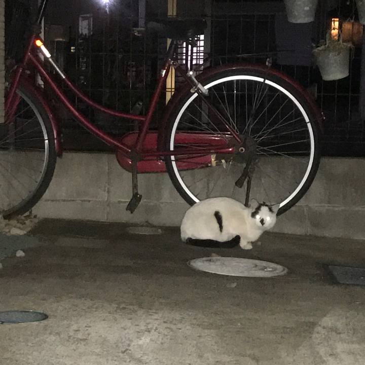 Eca218ef c55a 4921 afbd a2a9b831bdbd