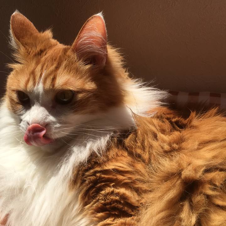 Eca3266a 8099 4f2d 927d 76cd6082753a