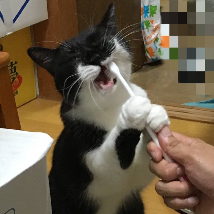 Eca36c20 dd39 4ffe 9548 2ea4540916f8