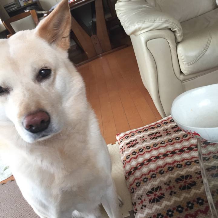 Eca42057 3cd3 48bb 8465 fad0cf72942b