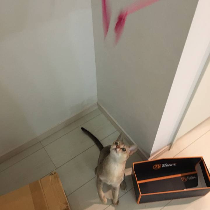 Eca4d4e0 2dff 4012 99c6 49d3a866f025