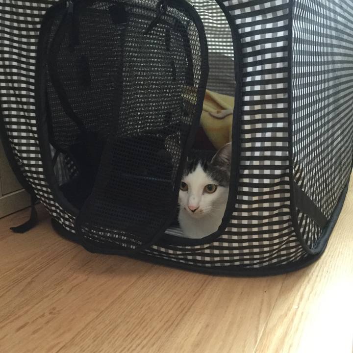 Eca4f393 01a9 4ddc 8145 6fd864b61622