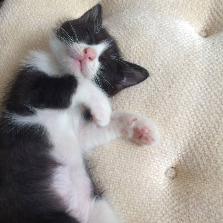 Eca53dae 07e9 40bd 8a30 e429b55a444e